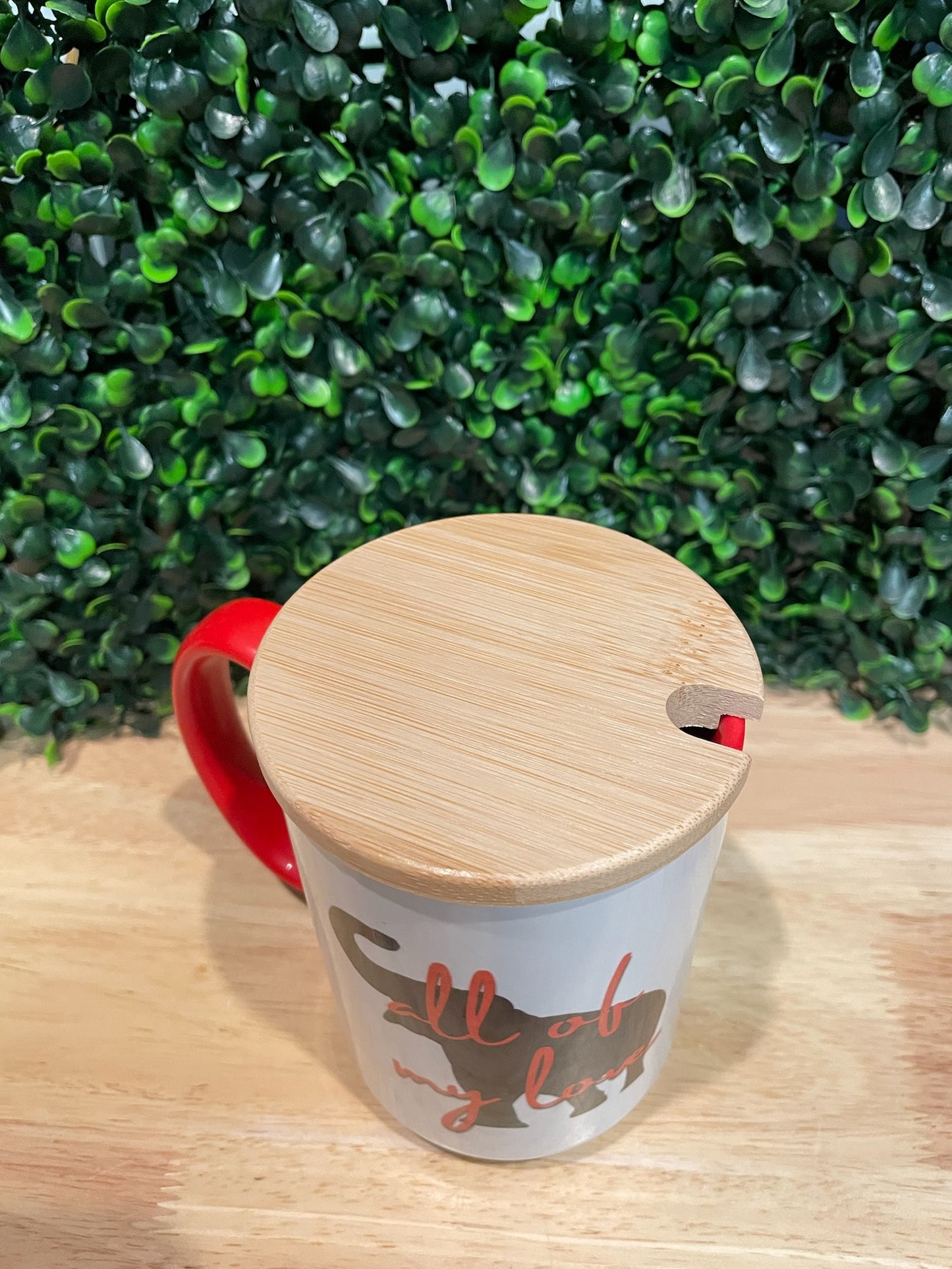 Rainbow Tie MUG (w/ Wooden Lids)